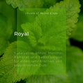 Sauna-Aufguss Royal 100ml - Wellow Sauna
