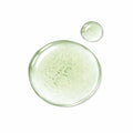 Ätherisches Öl Eukalyptus - 100ml - Wellow Sauna