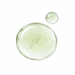Ätherisches Öl Eukalyptus - 100ml - Wellow Sauna