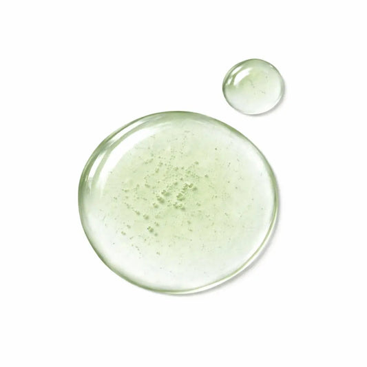 Ätherisches Öl Eukalyptus - 100ml - Wellow Sauna