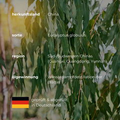 Ätherisches Öl Eukalyptus - 100ml - Wellow Sauna
