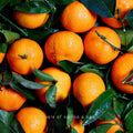 Ätherisches Öl Orange - 100ml - Wellow Sauna