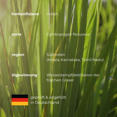 Ätherisches Öl Zitronengras - 100ml - Wellow Sauna