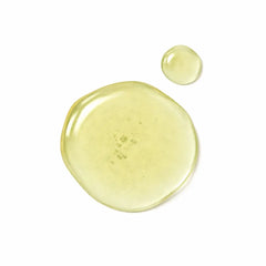 Ätherisches Öl Zypresse - 100ml - Wellow Sauna