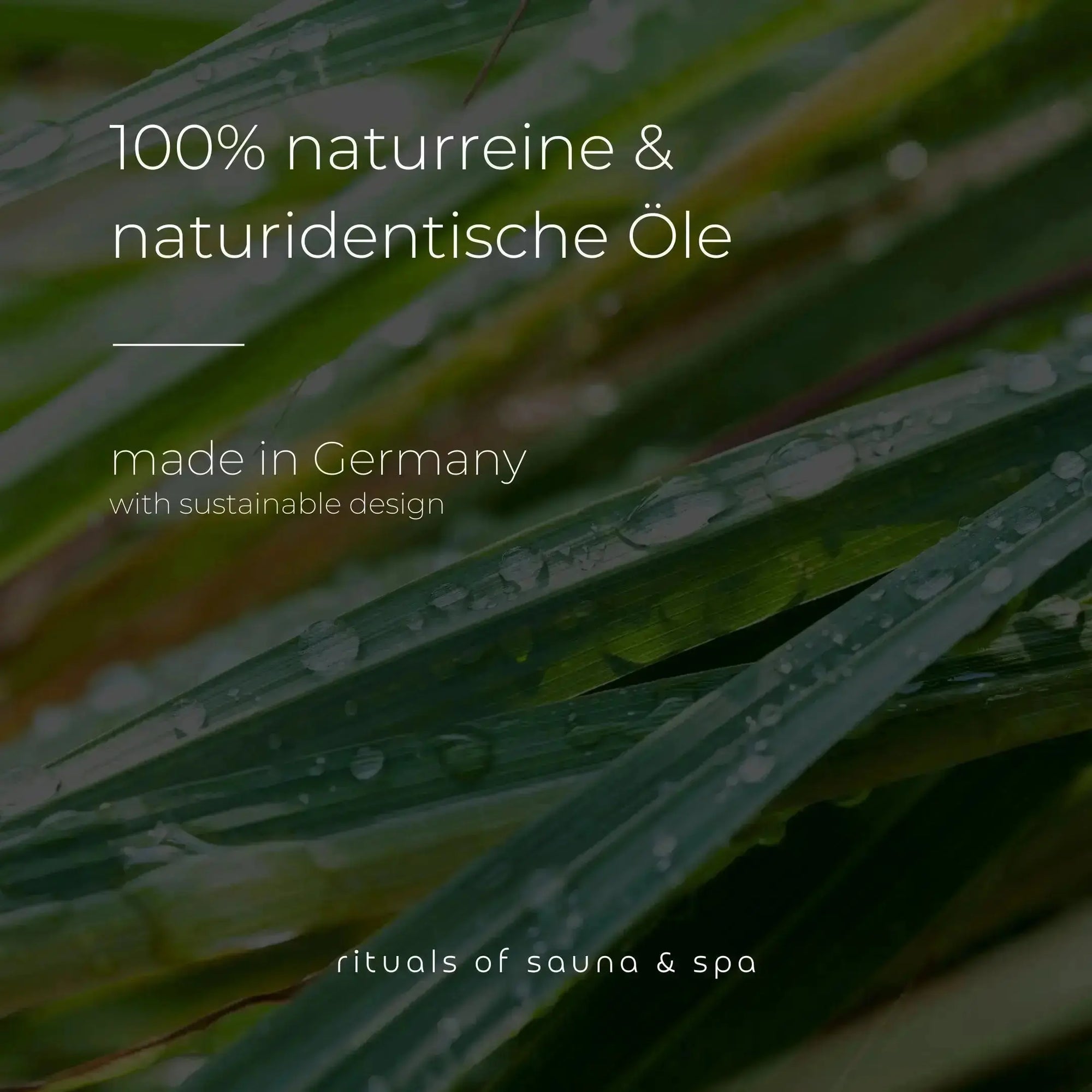 Banja Set Eukalyptus Frischekraft mit Eukalyptusquasten, Eukalyptus-Aufguss & Mentholkristallen (Kopie) - Wellow Sauna