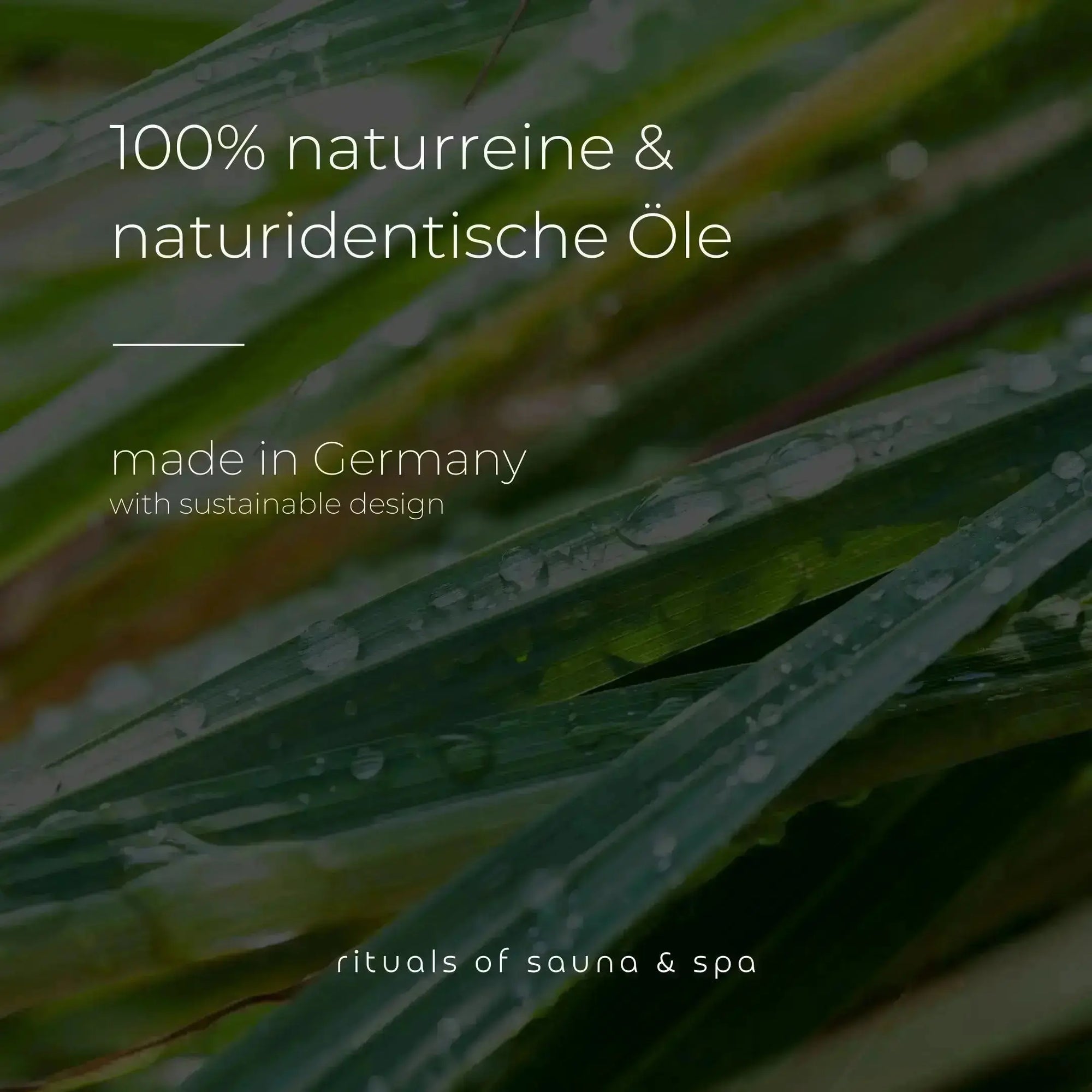 Sauna-Aufguss Sibirische Birke 100ml - Wellow Sauna