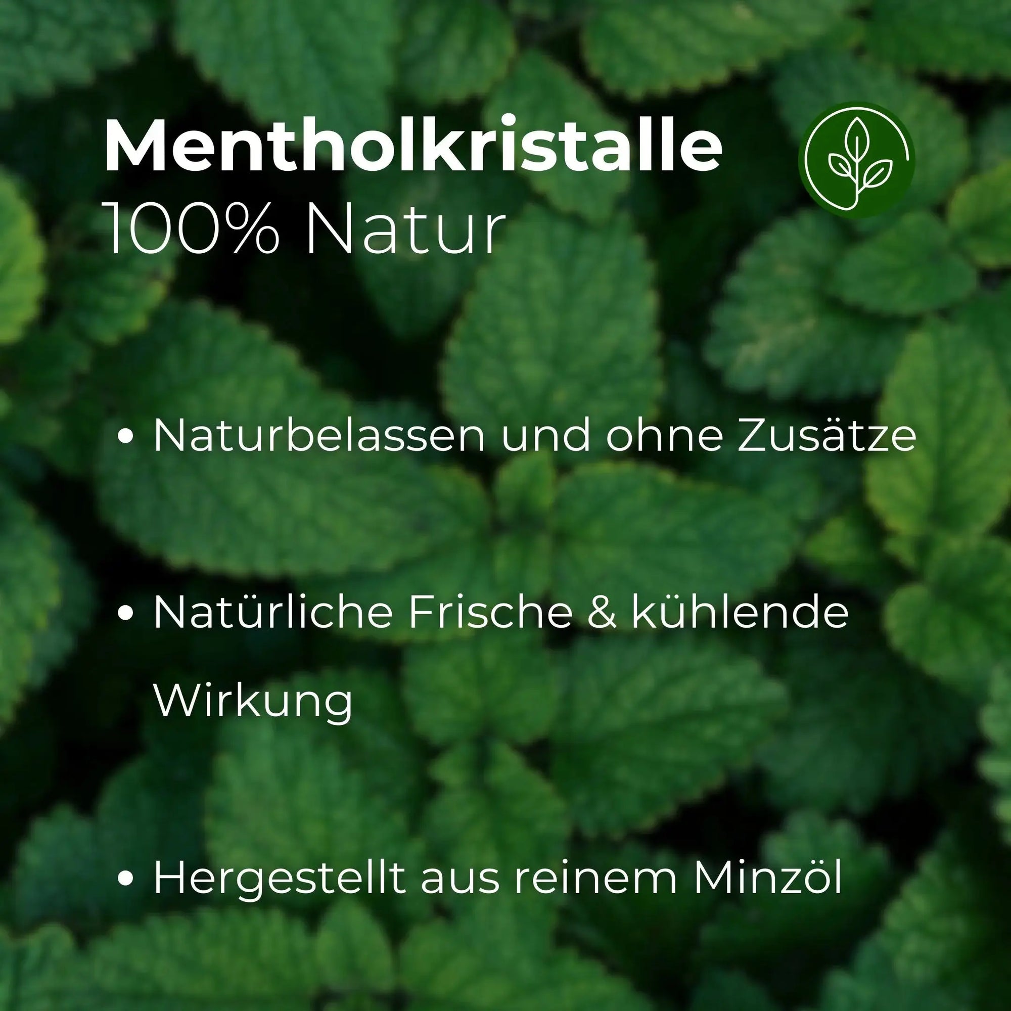 Sauna Mentholkristalle 50g (nachfüllbar & nachhaltig) - Wellow Sauna