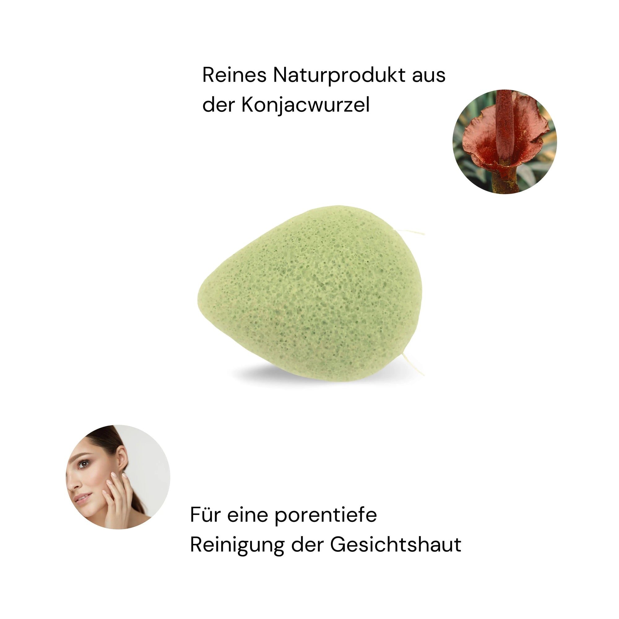 Gesichtspflegeschwamm - Aloe Vera - Wellow Sauna