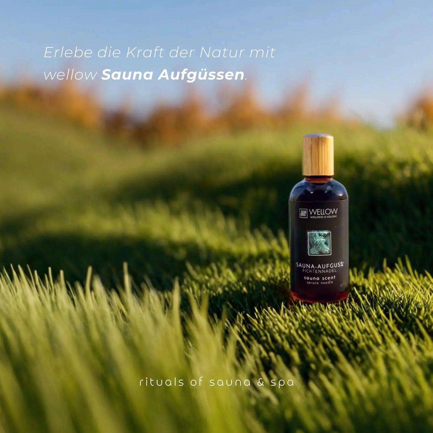 Sauna-Aufguss Eukalyptus-Menthol 100ml