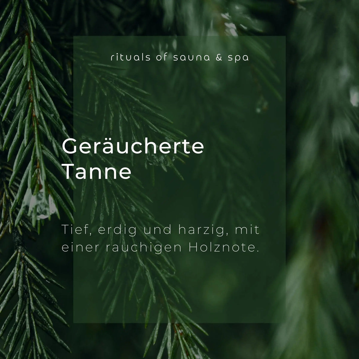 Sauna-Aufguss Geräucherte Tanne 100ml - Wellow Sauna