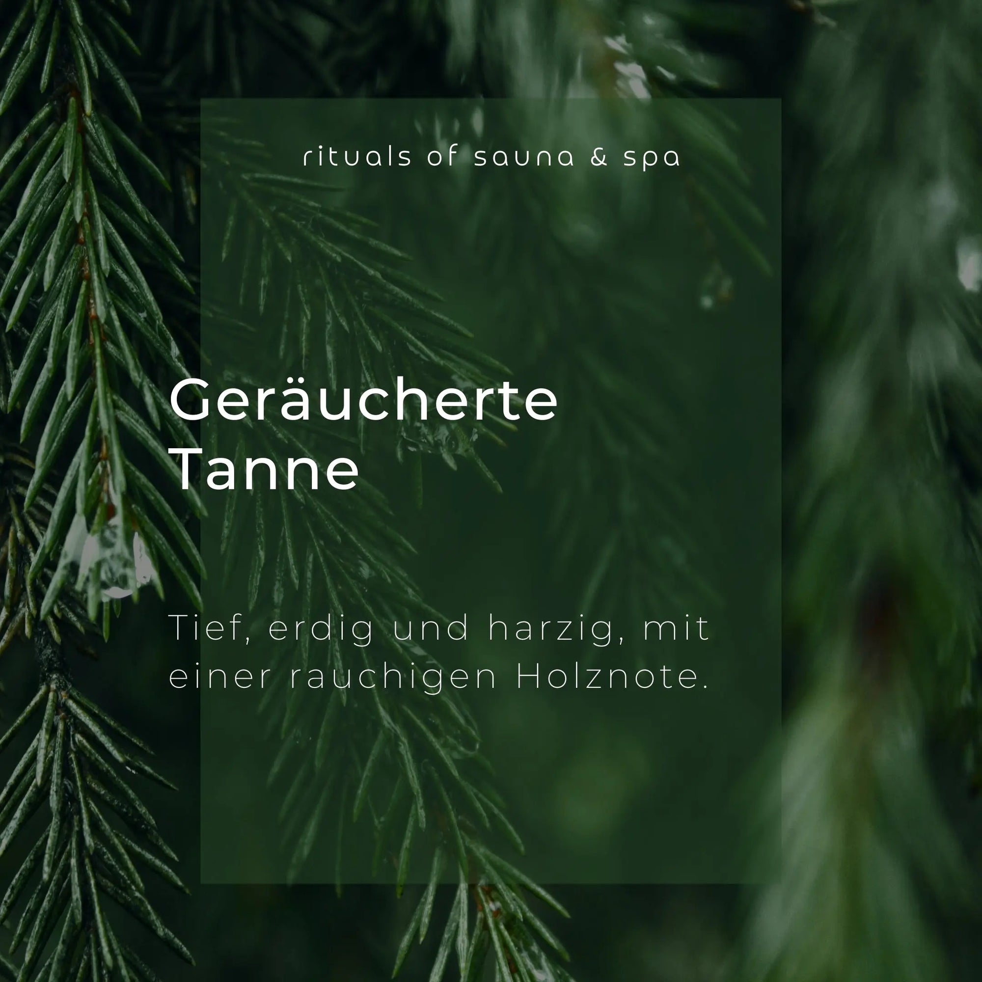 Sauna-Aufguss Geräucherte Tanne 100ml - Wellow Sauna