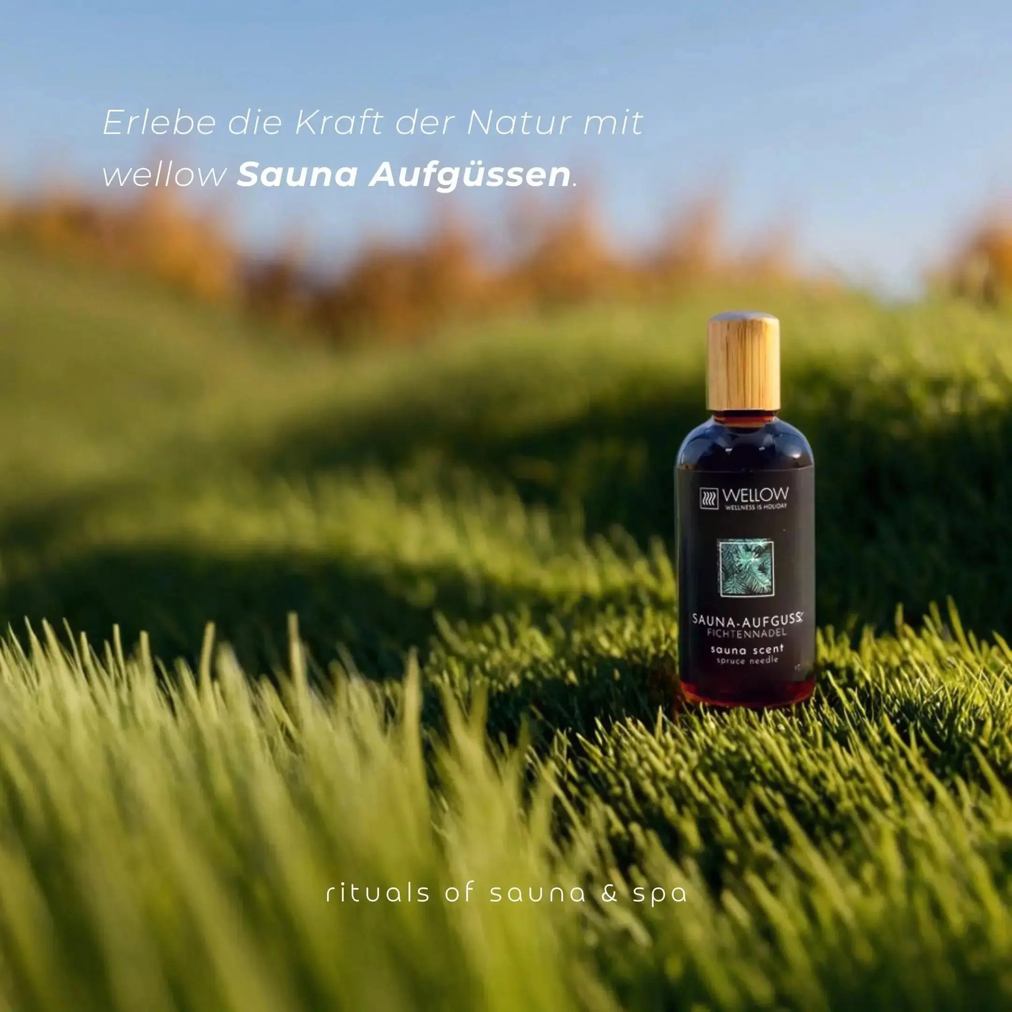 Sauna-Aufguss Granatapfel-Minze-Weihrauch 100ml - Wellow Sauna