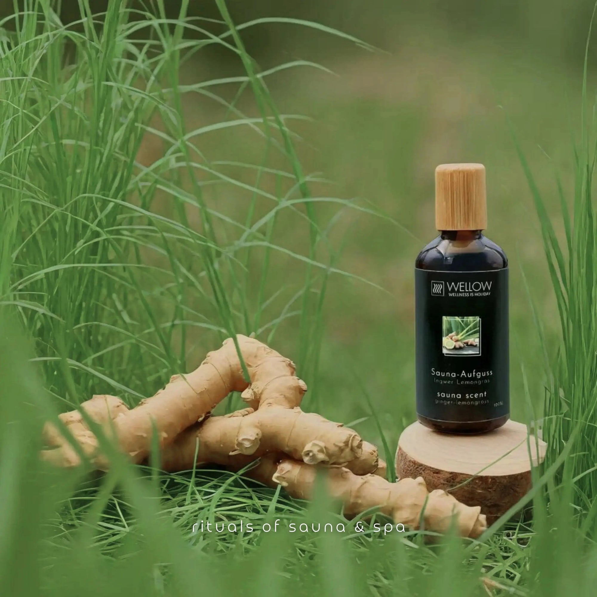 Sauna-Aufguss Ingwer-Lemongras 100ml