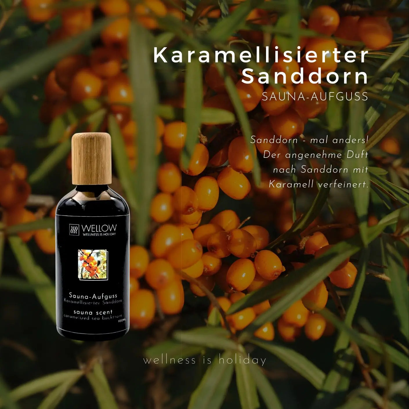 Sauna-Aufguss Karamellisierter Sanddorn 100ml - Wellow Sauna