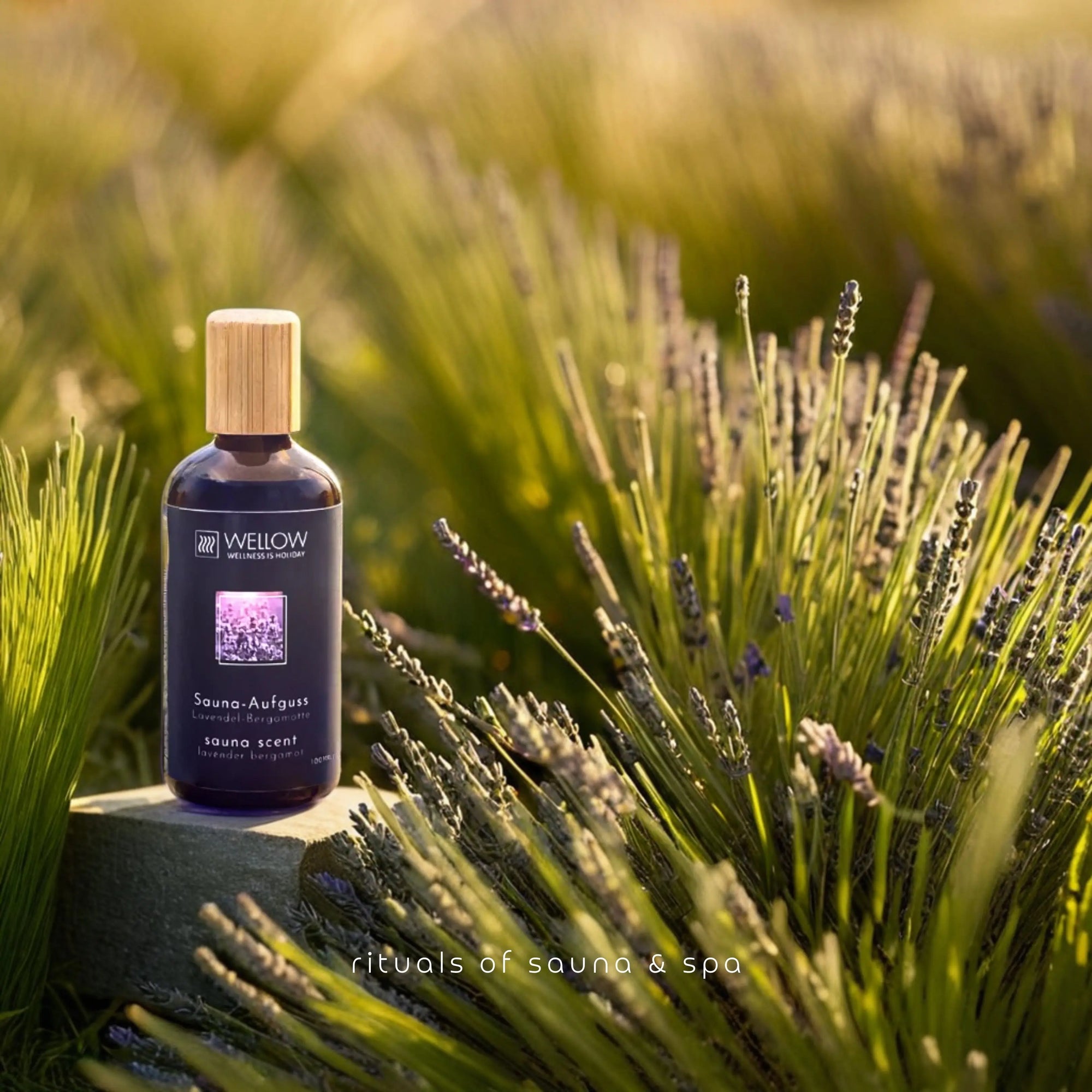 Sauna-Aufguss Lavendel-Bergamotte 100ml - Wellow Sauna