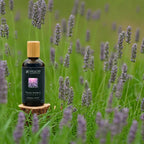 Sauna-Aufguss Lavendel-Bergamotte 100ml - Wellow Sauna