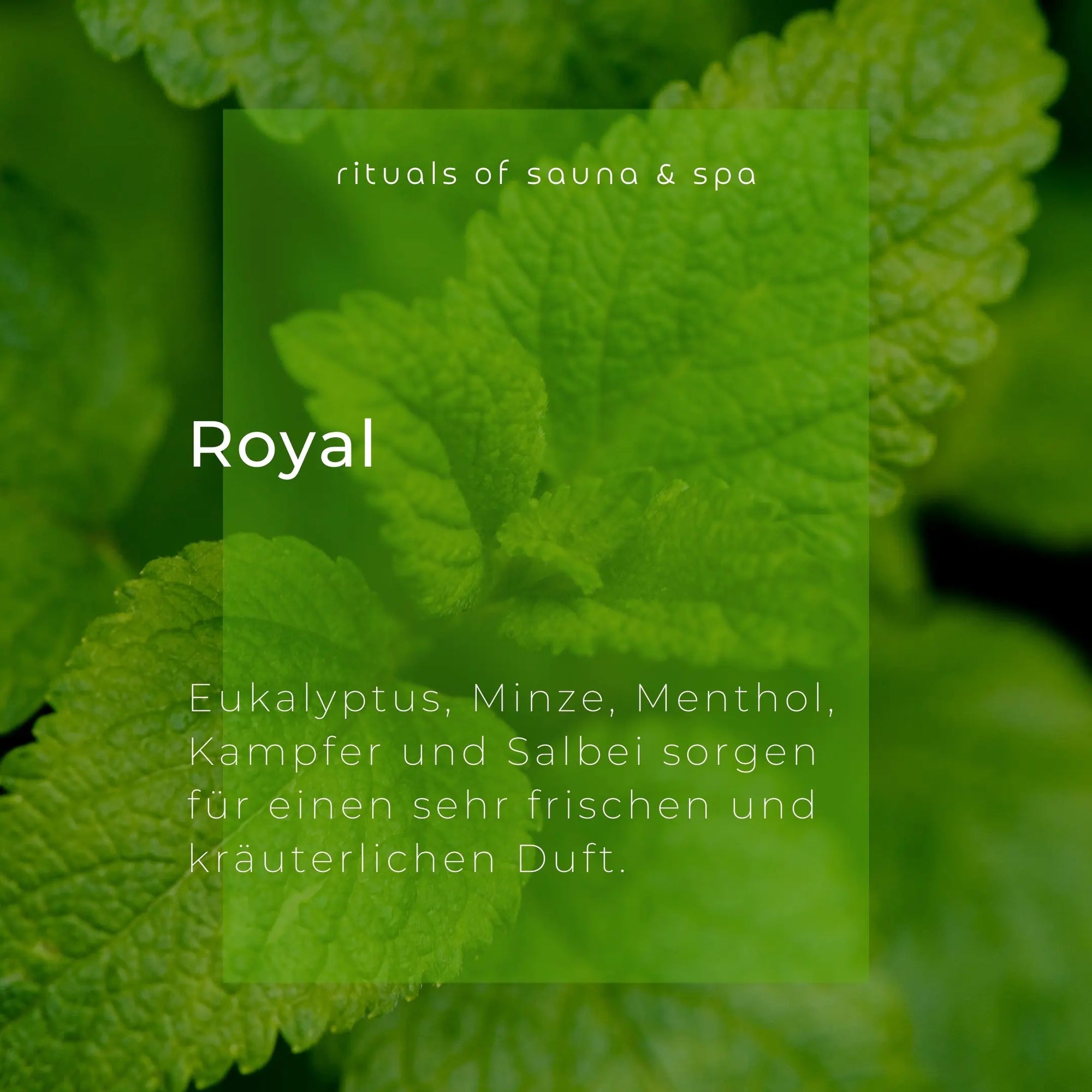 Sauna-Aufguss Royal 100ml - Wellow Sauna