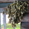 Bund Eukalyptusreisig/-quast - Wellow Sauna