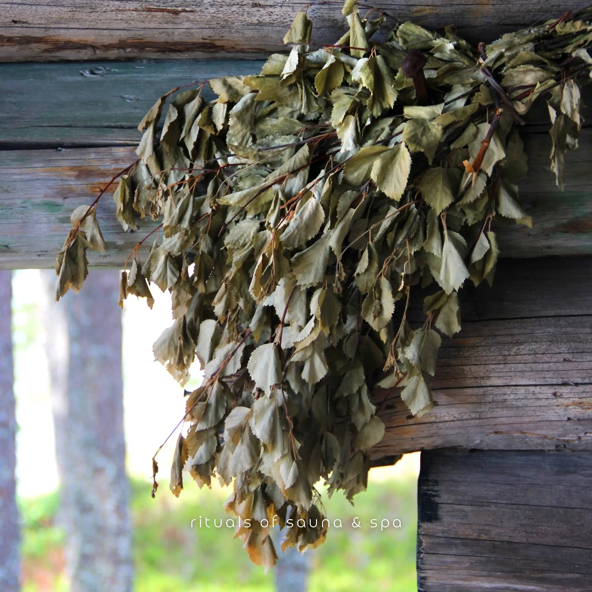 Bund Eukalyptusreisig/-quast - Wellow Sauna