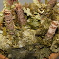 Bund Eichenreisig/-quast - Wellow Sauna
